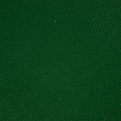 Кожзаменитель 924т83, ВИК-ТР, зеленый, ш. 1.42 м, цена 607.50 руб