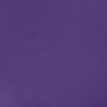 878_purple