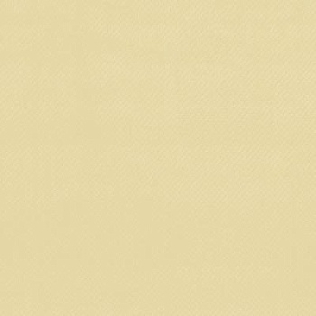 Ткань ПВХ, 630 г/м2, ш. 2.5 м, бежевый RAL 1015