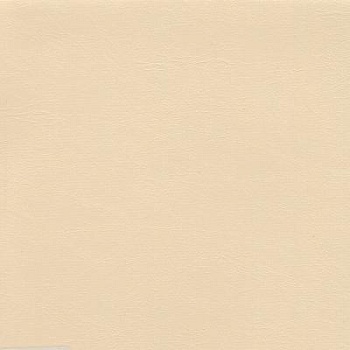 Кожзаменитель 56П Ковентри ВИК-ТР, галантерейный, бежевый