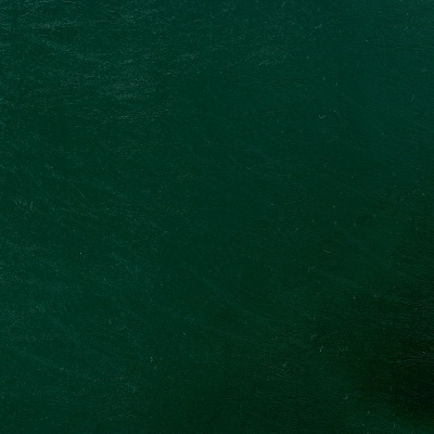 Кожзаменитель 914т66, ВИК-ТР, зеленый, ш. 1.42 м, цена 607.50 руб