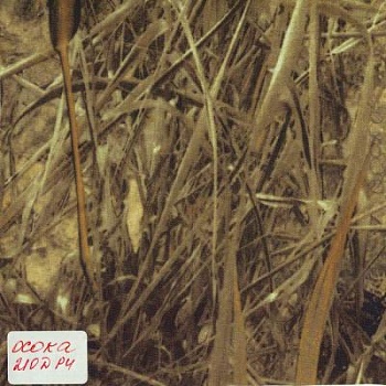 210dko