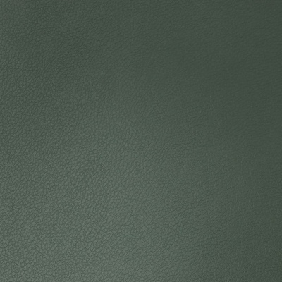 Кожзаменитель Pegaso Green, ш. 1.4 м, цена 715 руб