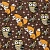 foxes_owls