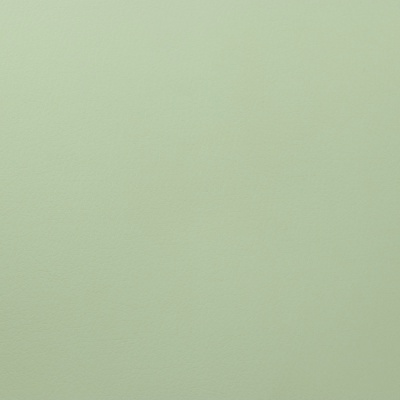 Кожзаменитель Luxa Apple, ш. 1.4 м, цена 