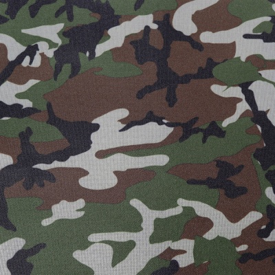 Ткань тентовая 600D, 400 г/м2, ш. 150 см, камуфляж 4319-10, цена 