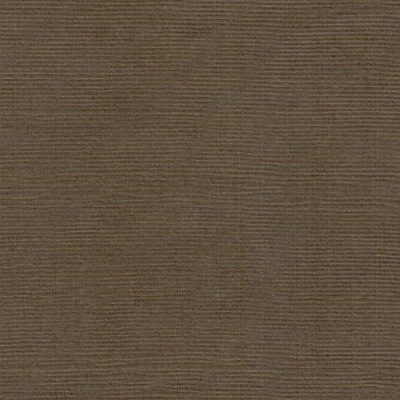 Велюр Sound Latte, 260 г/м2, ш. 145 см, цена 461 руб