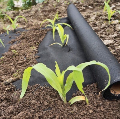 Спанбонд, 45 г/м2, ш. 1.6 м, черный, цена 