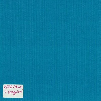 210dslblued
